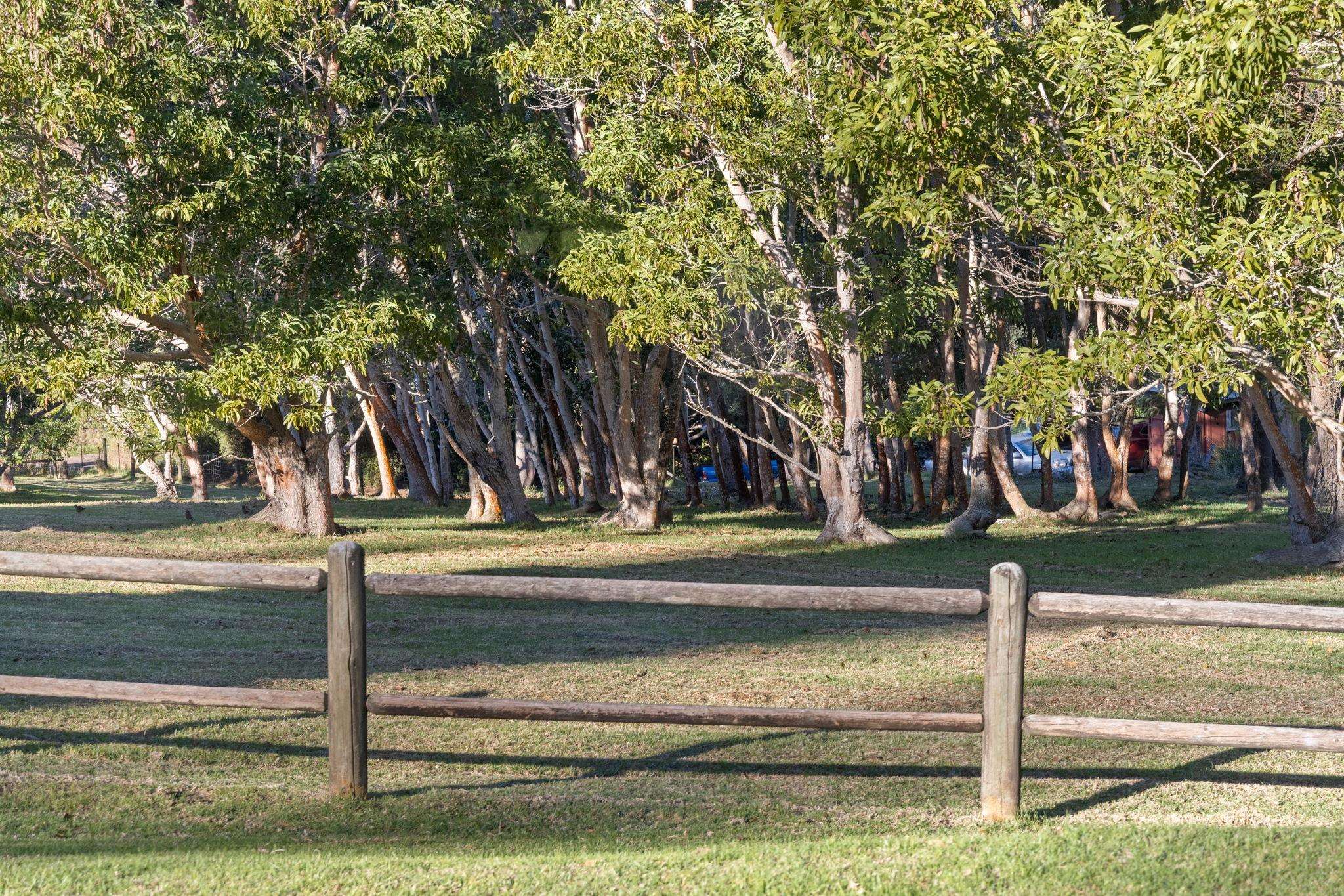 2640 Olinda Road Makawao, HI 96768 - Photo 18 of 49 a view of street with trees