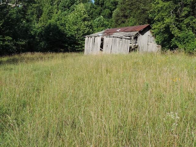 6016 Huntsville-Quality Road Lewisburg, KY 42256 - Photo 4 of 21 Gallery Image 4