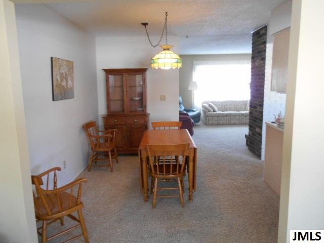 3523 Audrey Street Spring Arbor, MI 49283 - Photo 9 of 35 Photo 9