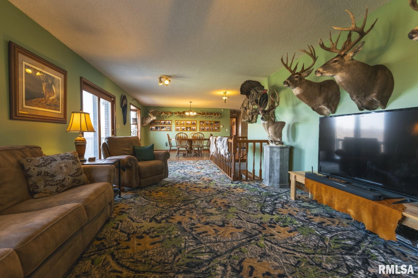 896 Northeast 1300 Street Roodhouse, IL 62082 - Photo 15 of 89