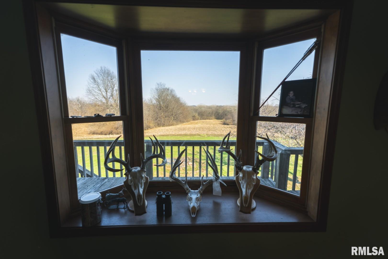 896 Northeast 1300 Street Roodhouse, IL 62082 - Photo 16 of 89