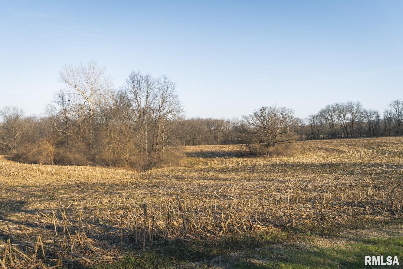 896 Northeast 1300 Street Roodhouse, IL 62082 - Photo 31 of 89