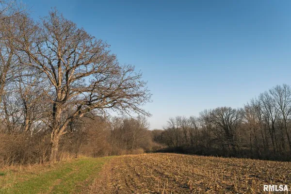 $635,000 | 896 Northeast 1300 Street, Roodhouse, IL 62082