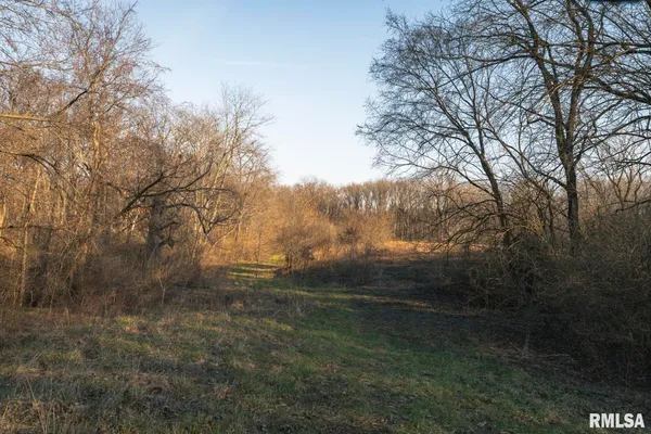 $635,000 | 896 Northeast 1300 Street, Roodhouse, IL 62082