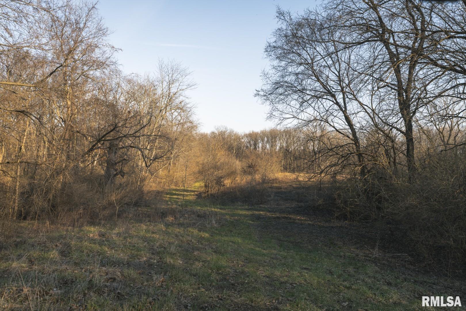 896 Northeast 1300 Street Roodhouse, IL 62082 - Photo 33 of 89