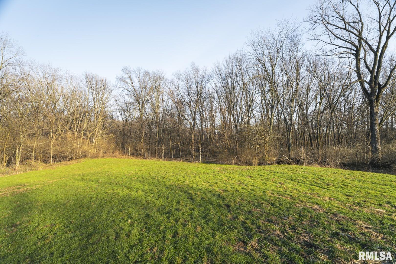 896 Northeast 1300 Street Roodhouse, IL 62082 - Photo 34 of 89