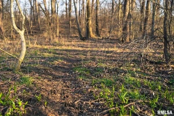 $635,000 | 896 Northeast 1300 Street, Roodhouse, IL 62082