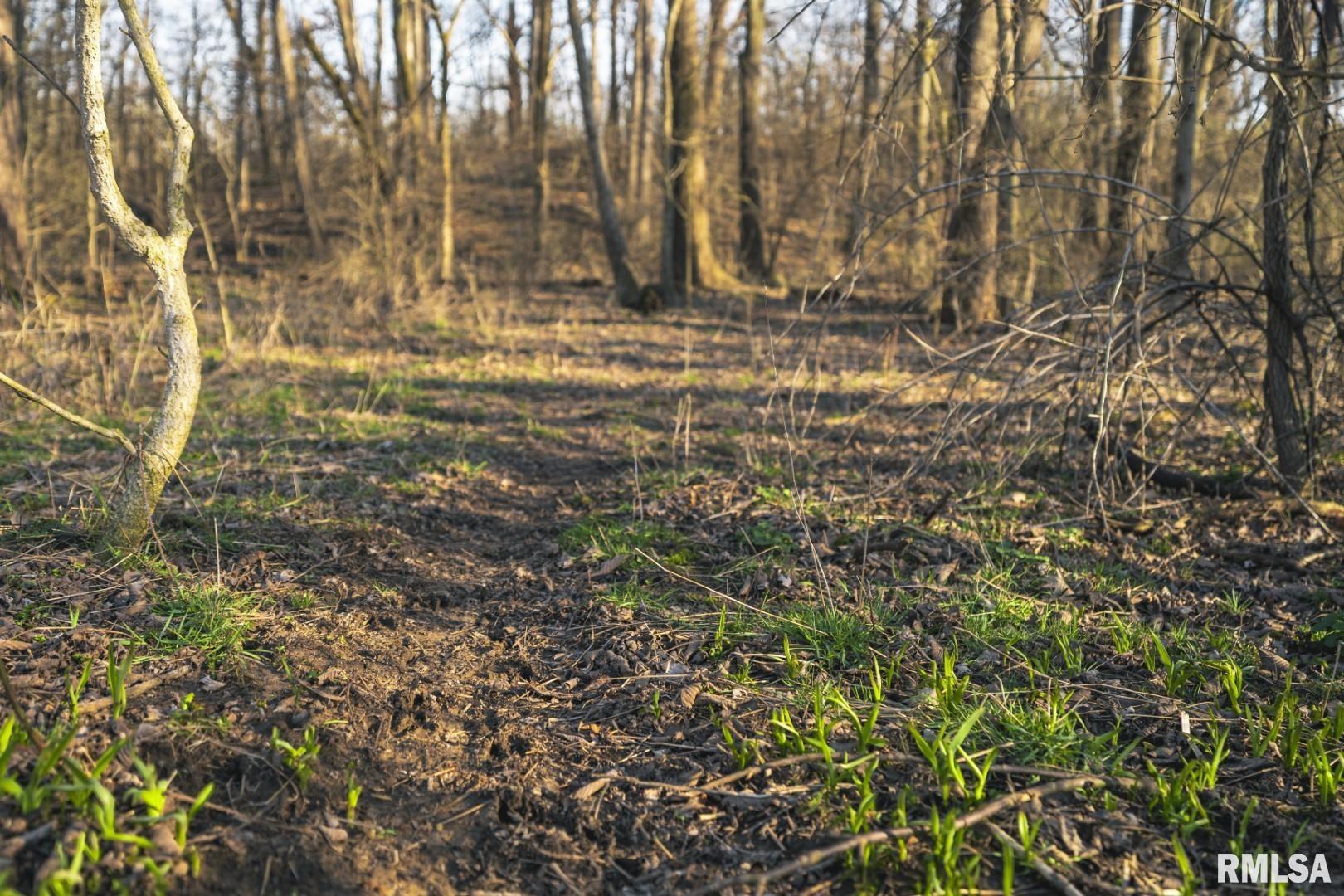 896 Northeast 1300 Street Roodhouse, IL 62082 - Photo 35 of 89
