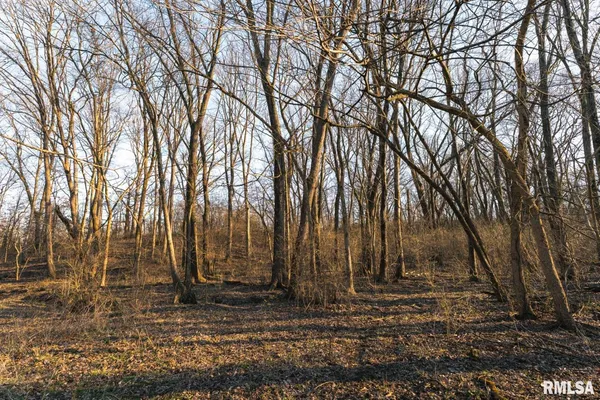 $635,000 | 897 Northeast 1300th Road East, Roodhouse, IL 62082