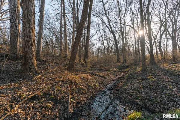 $635,000 | 896 Northeast 1300 Street, Roodhouse, IL 62082