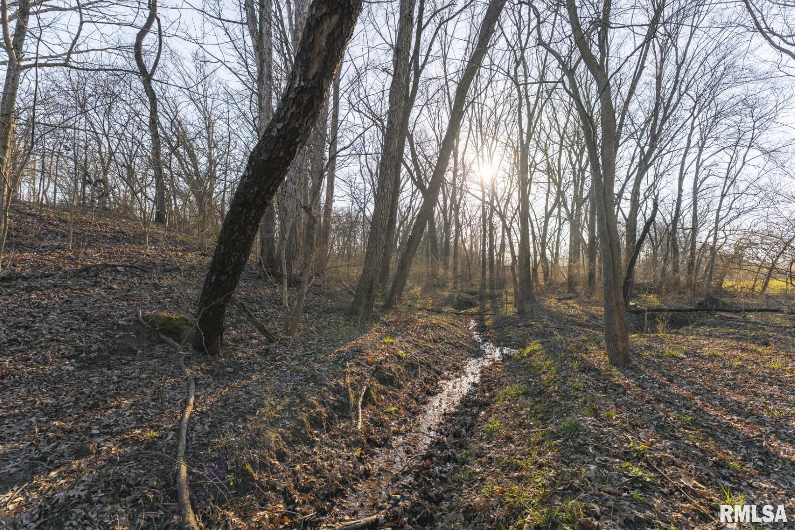 896 Northeast 1300 Street Roodhouse, IL 62082 - Photo 38 of 89