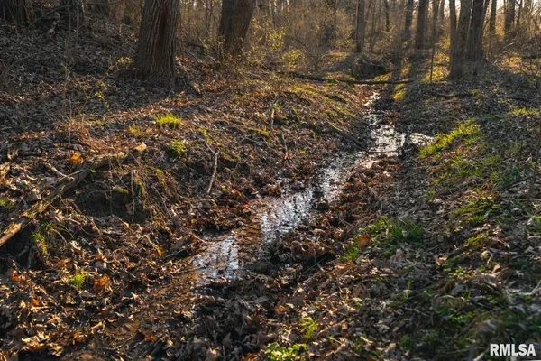 $635,000 | 896 Northeast 1300 Street, Roodhouse, IL 62082