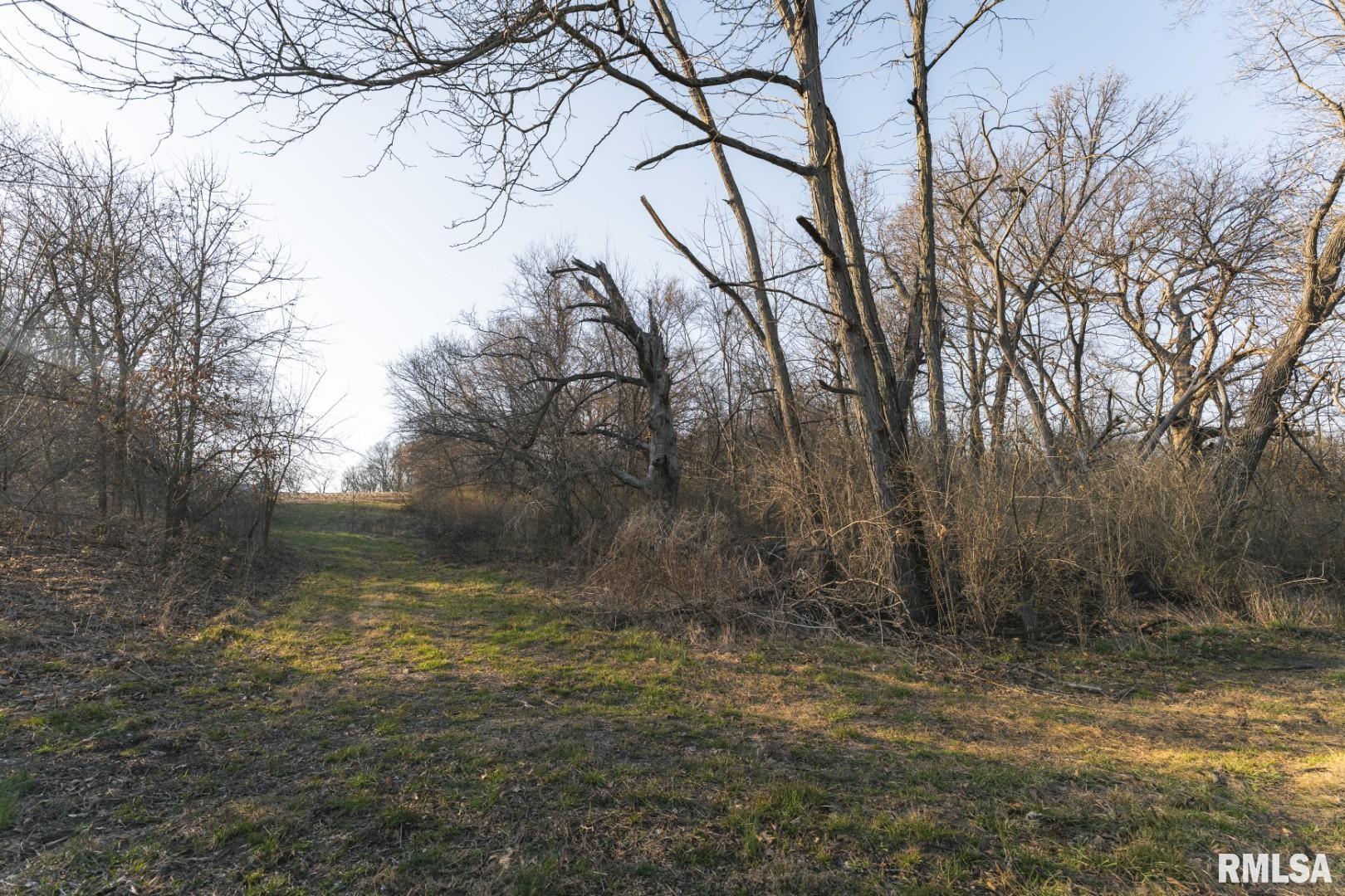 896 Northeast 1300 Street Roodhouse, IL 62082 - Photo 40 of 89