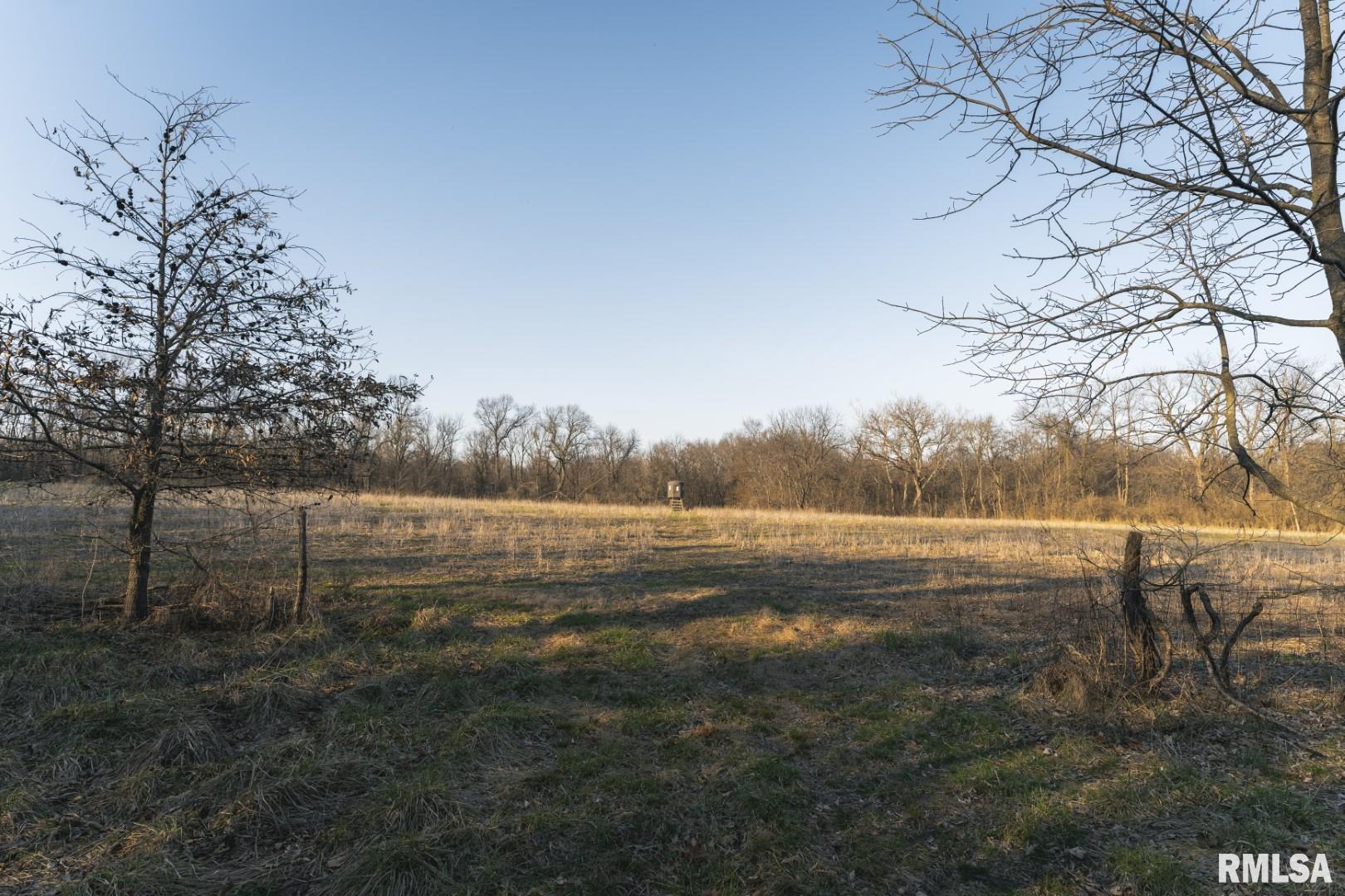 896 Northeast 1300 Street Roodhouse, IL 62082 - Photo 41 of 89