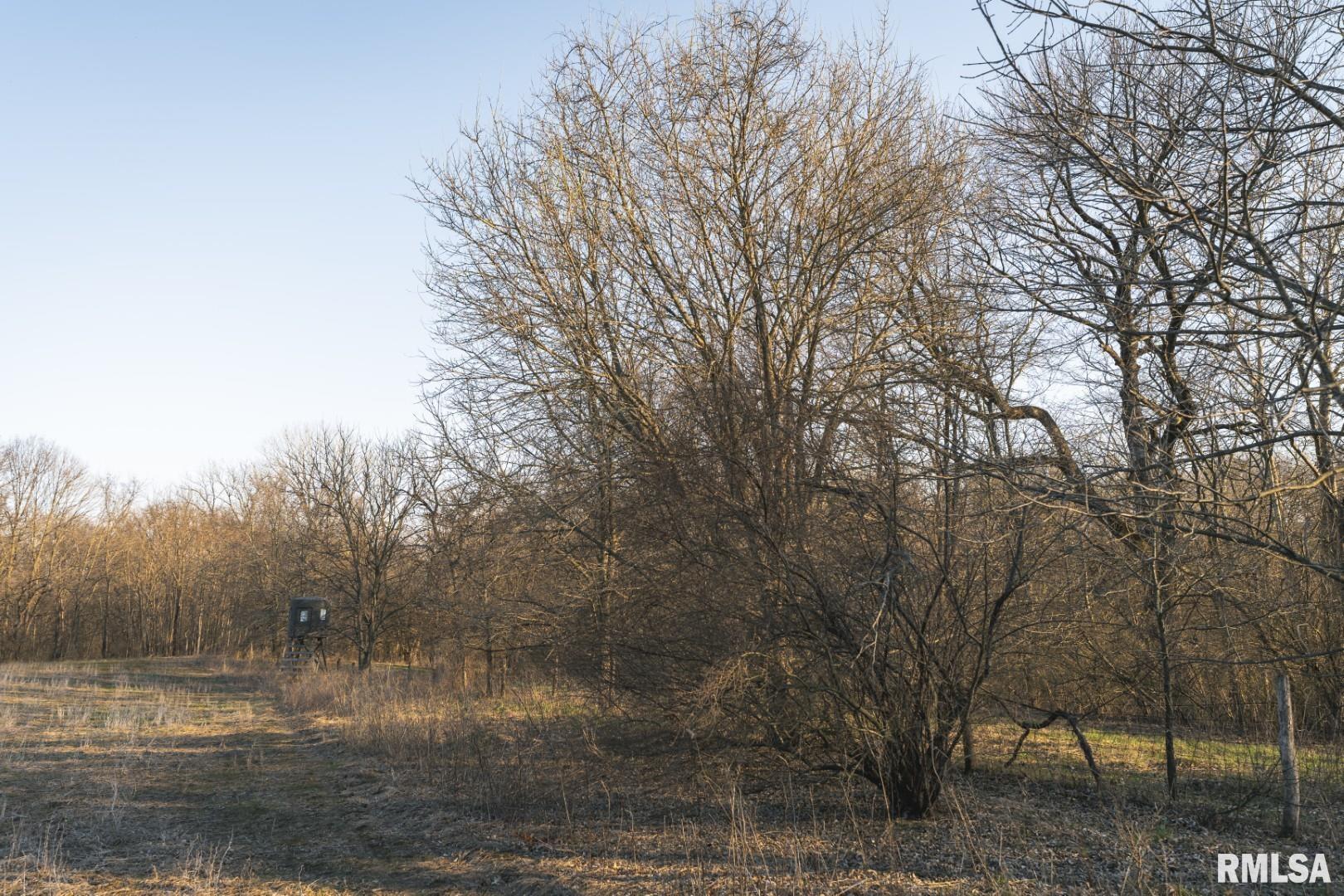 896 Northeast 1300 Street Roodhouse, IL 62082 - Photo 43 of 89