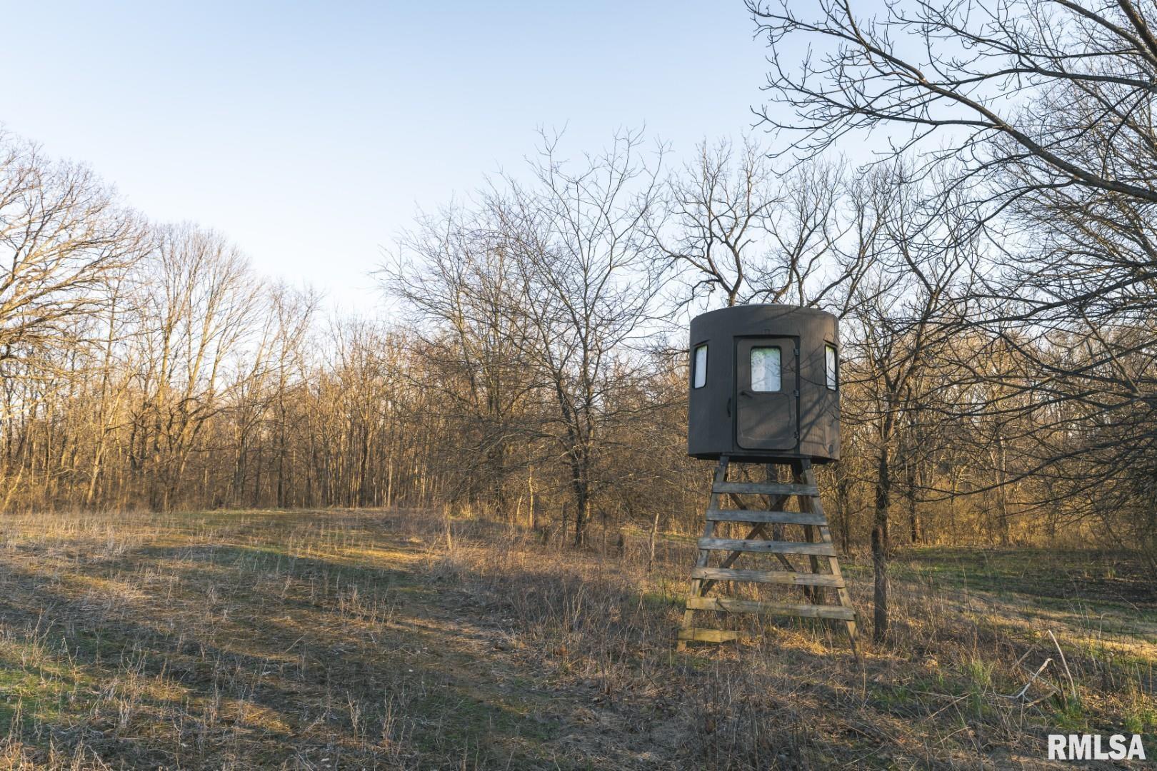 896 Northeast 1300 Street Roodhouse, IL 62082 - Photo 44 of 89