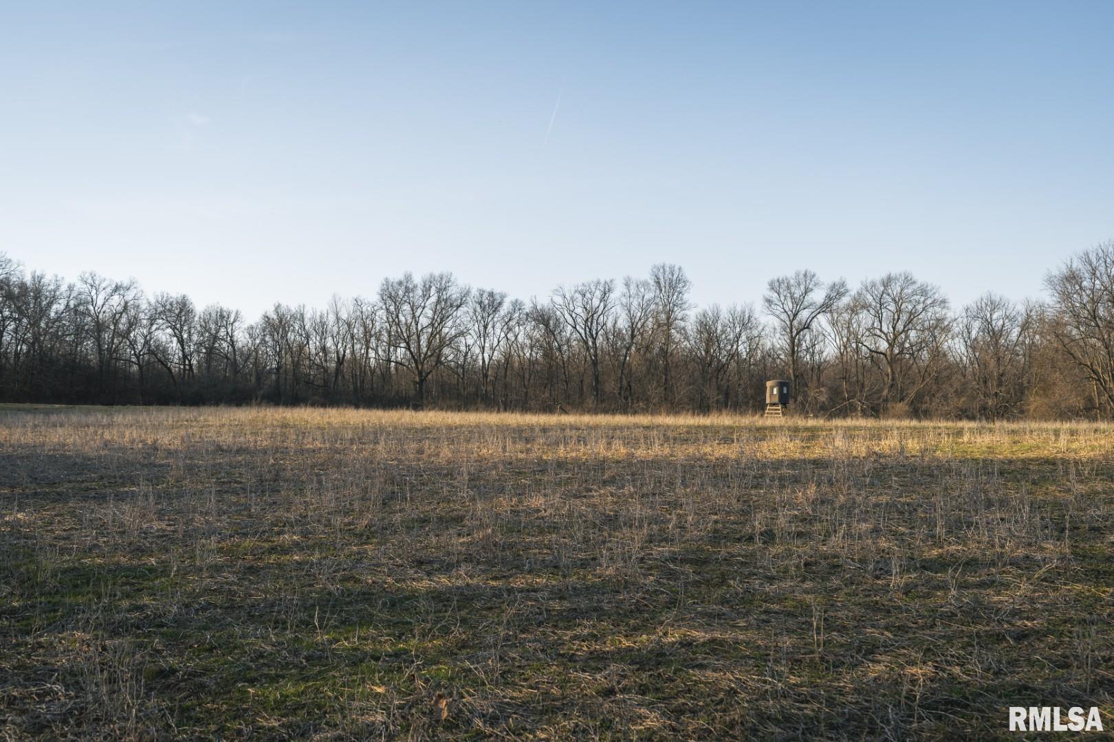 896 Northeast 1300 Street Roodhouse, IL 62082 - Photo 45 of 89