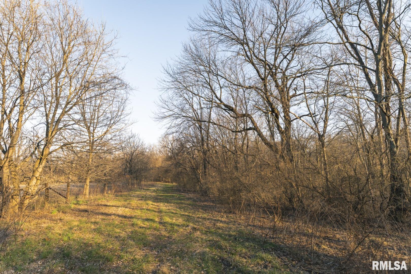 896 Northeast 1300 Street Roodhouse, IL 62082 - Photo 46 of 89