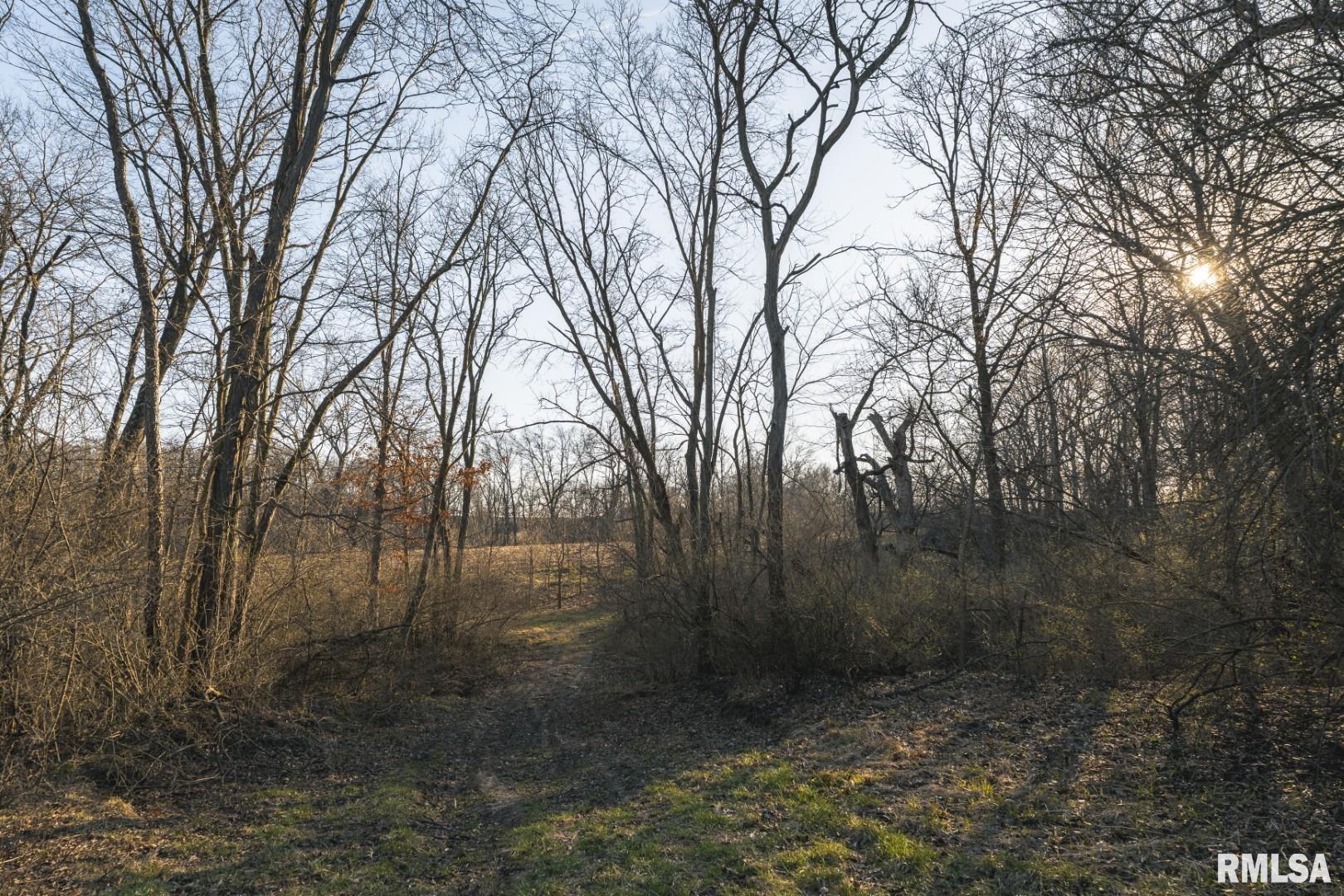 896 Northeast 1300 Street Roodhouse, IL 62082 - Photo 47 of 89