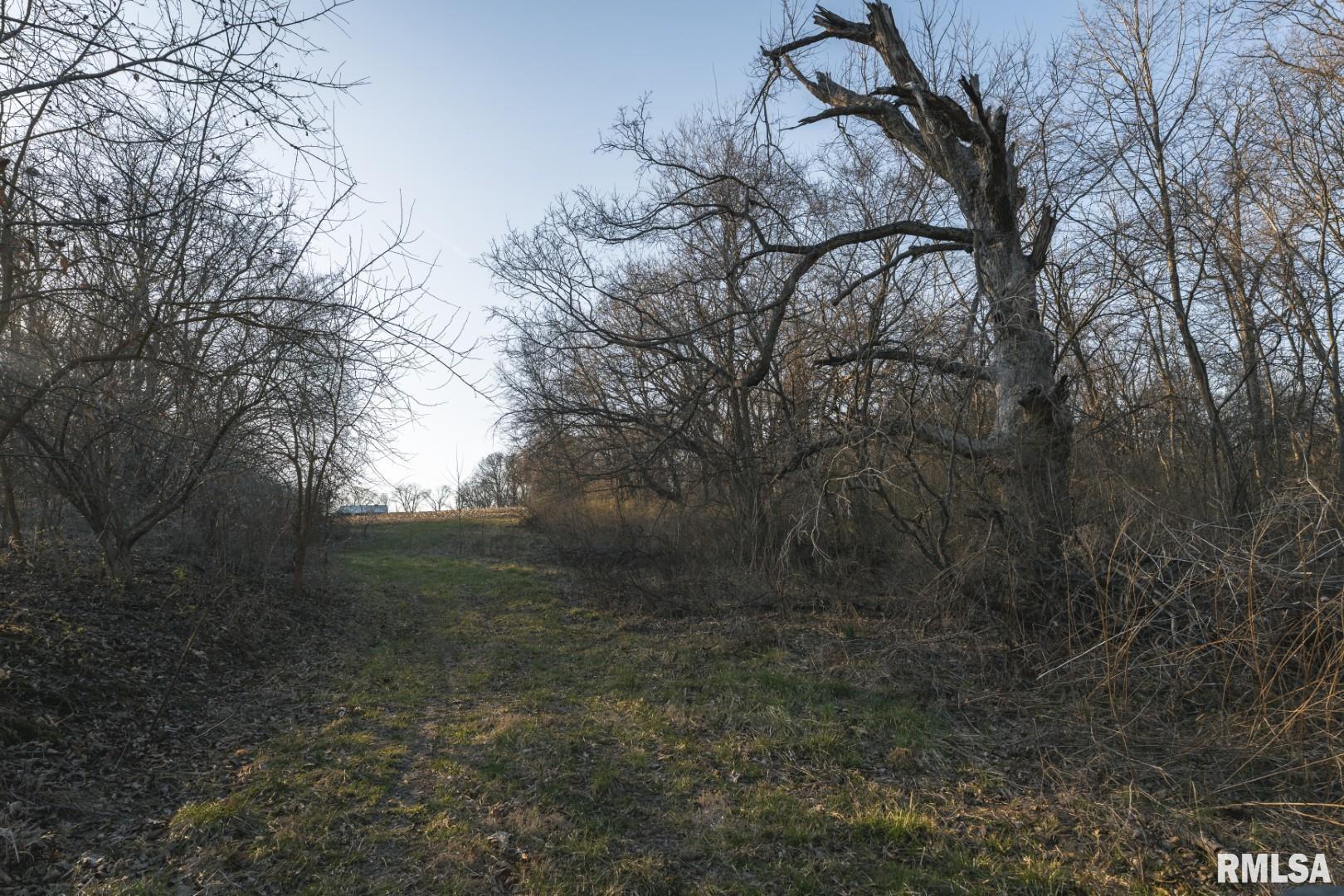 896 Northeast 1300 Street Roodhouse, IL 62082 - Photo 48 of 89