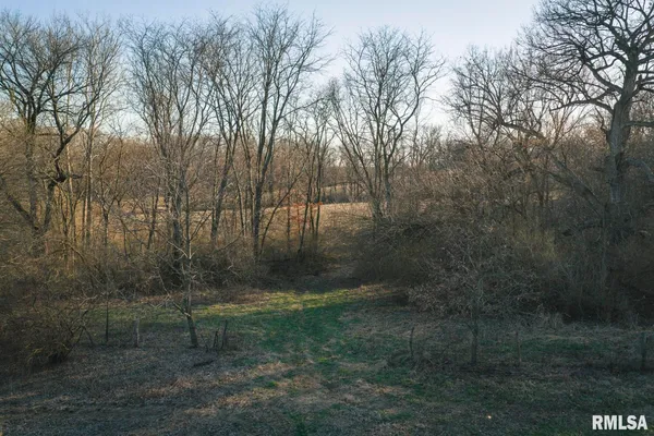 $635,000 | 896 Northeast 1300 Street, Roodhouse, IL 62082