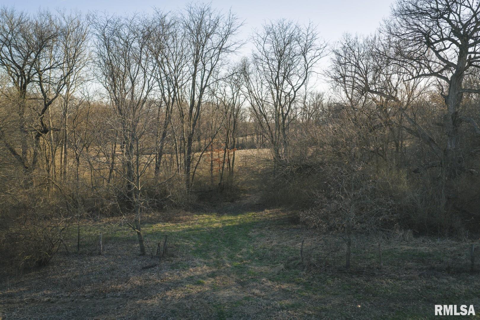 896 Northeast 1300 Street Roodhouse, IL 62082 - Photo 51 of 89