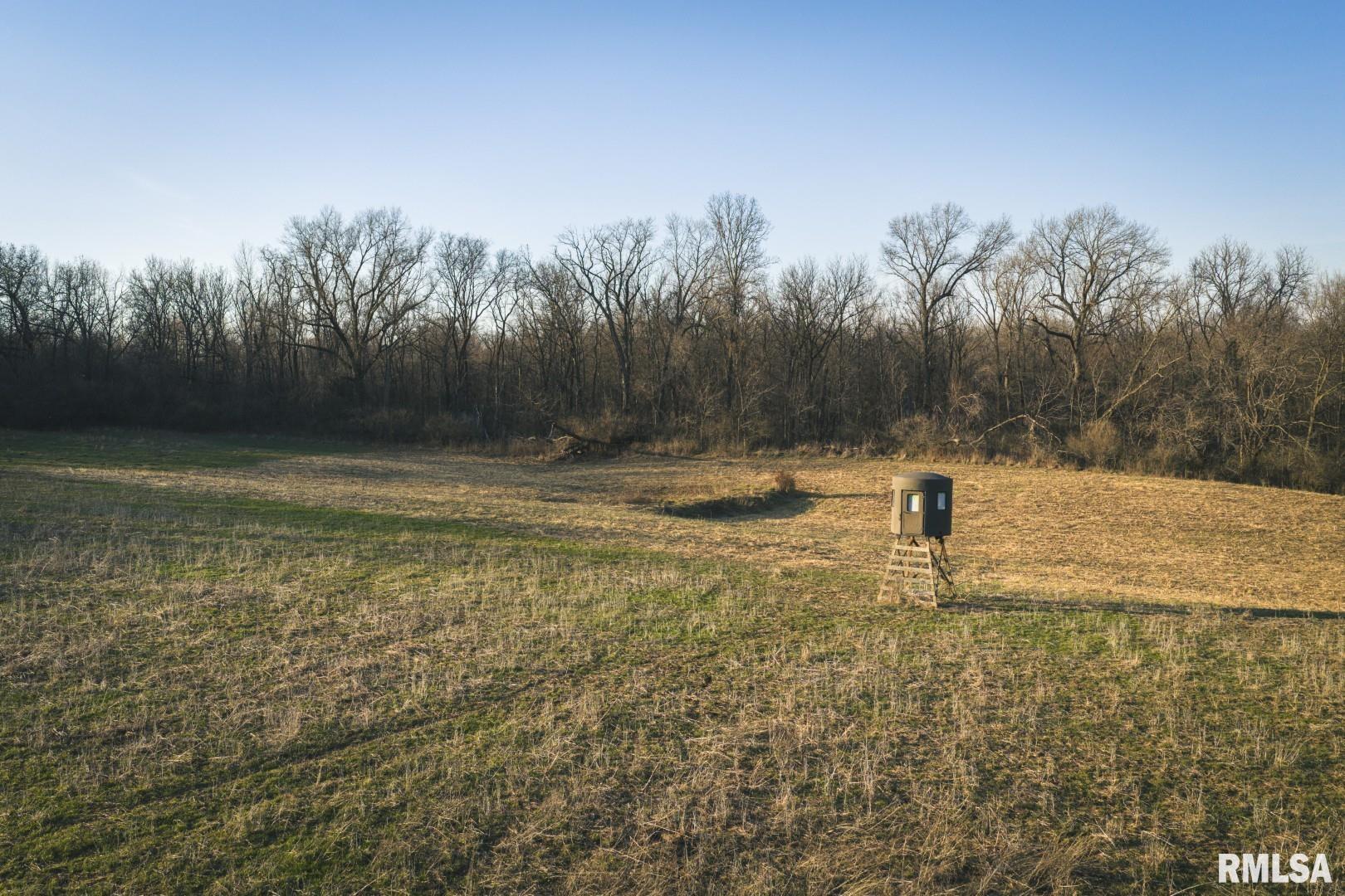 896 Northeast 1300 Street Roodhouse, IL 62082 - Photo 52 of 89