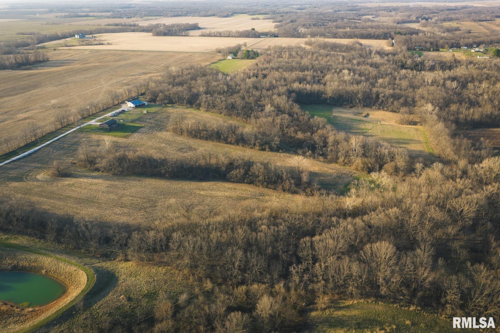 896 Northeast 1300 Street Roodhouse, IL 62082 - Photo 55 of 89