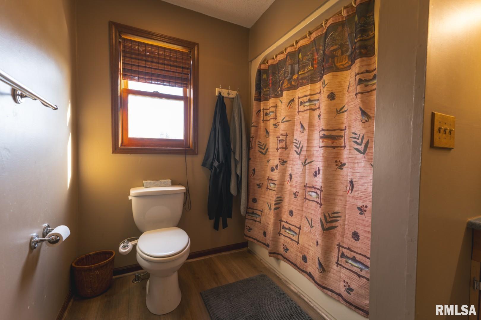 896 Northeast 1300 Street Roodhouse, IL 62082 - Photo 6 of 89