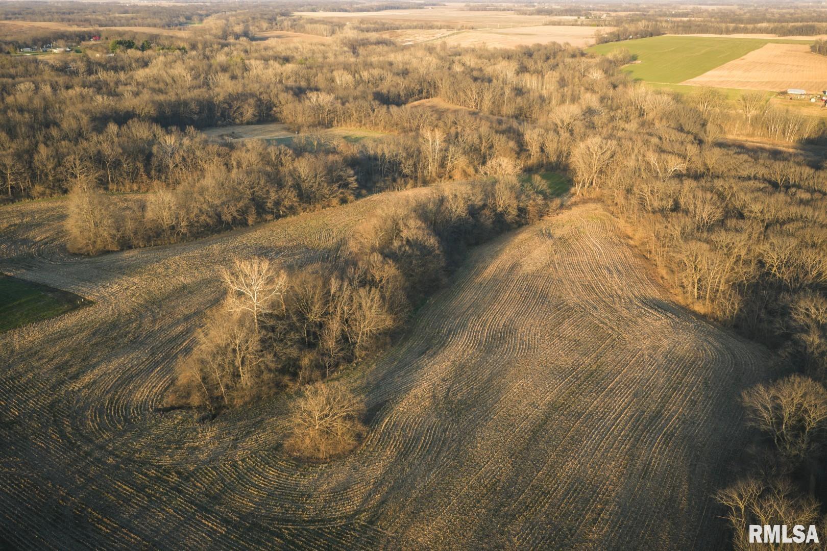 896 Northeast 1300 Street Roodhouse, IL 62082 - Photo 64 of 89