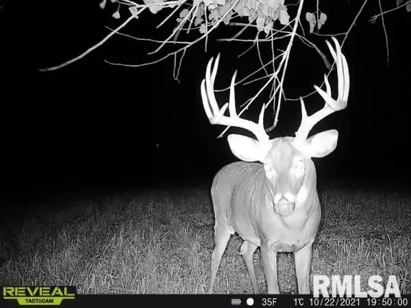 $635,000 | 896 Northeast 1300 Street, Roodhouse, IL 62082