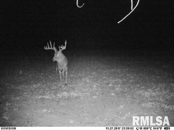 $635,000 | 896 Northeast 1300 Street, Roodhouse, IL 62082