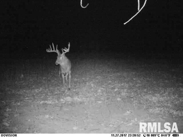 896 Northeast 1300 Street Roodhouse, IL 62082 - Photo 69 of 89