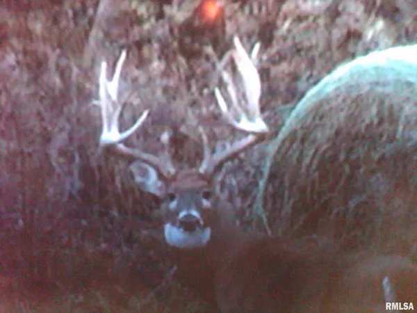 $635,000 | 896 Northeast 1300 Street, Roodhouse, IL 62082