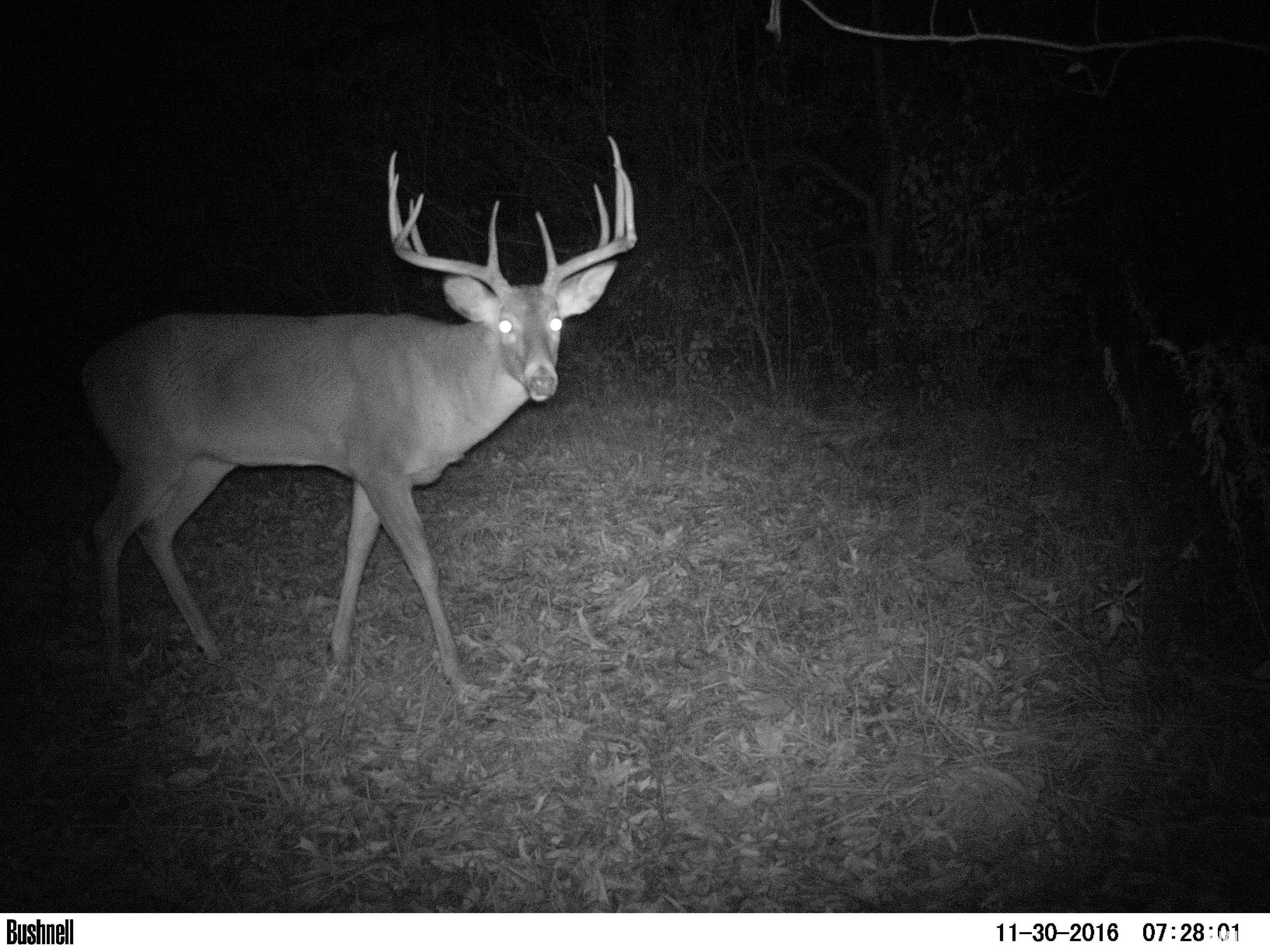 896 Northeast 1300 Street Roodhouse, IL 62082 - Photo 71 of 89