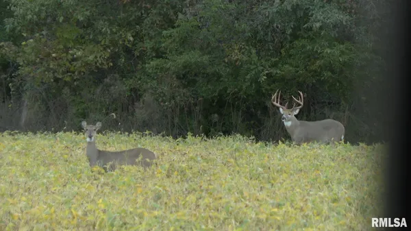 $635,000 | 896 Northeast 1300 Street, Roodhouse, IL 62082