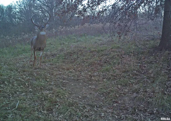 $635,000 | 896 Northeast 1300 Street, Roodhouse, IL 62082