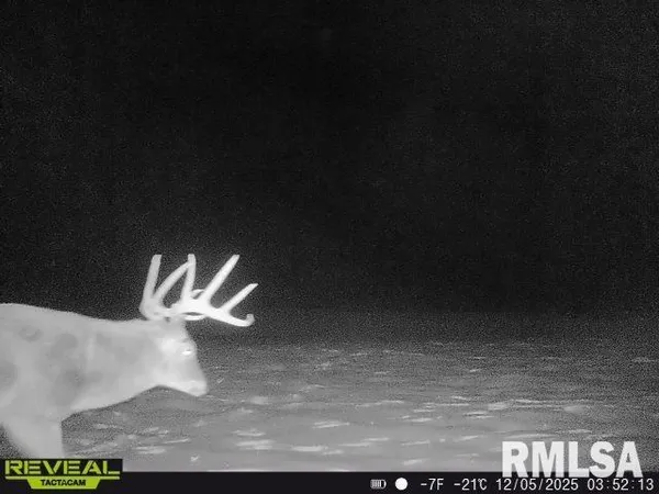 $635,000 | 896 Northeast 1300 Street, Roodhouse, IL 62082