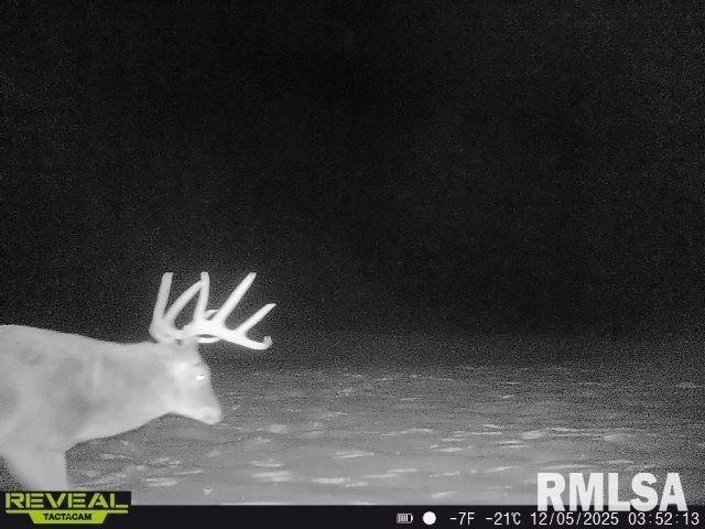 896 Northeast 1300 Street Roodhouse, IL 62082 - Photo 75 of 89