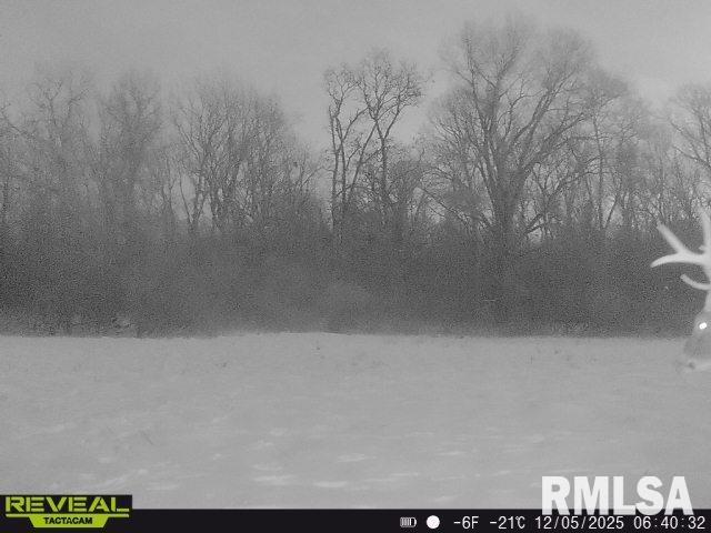 896 Northeast 1300 Street Roodhouse, IL 62082 - Photo 76 of 89