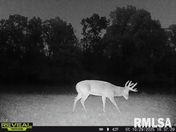 $635,000 | 896 Northeast 1300 Street, Roodhouse, IL 62082