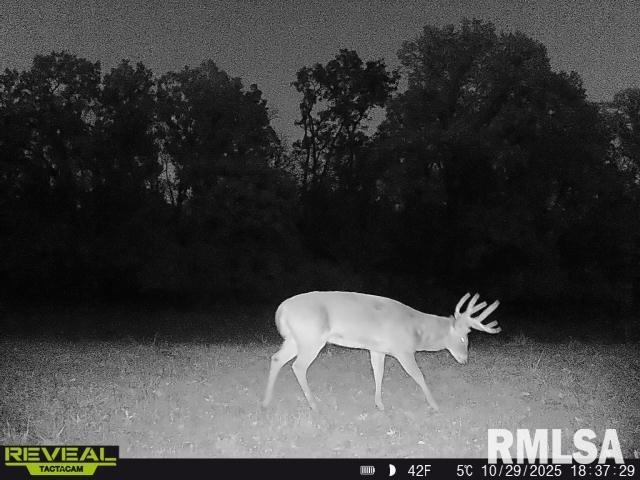 896 Northeast 1300 Street Roodhouse, IL 62082 - Photo 77 of 89