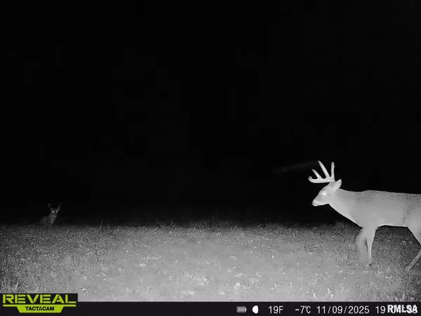 $635,000 | 896 Northeast 1300 Street, Roodhouse, IL 62082