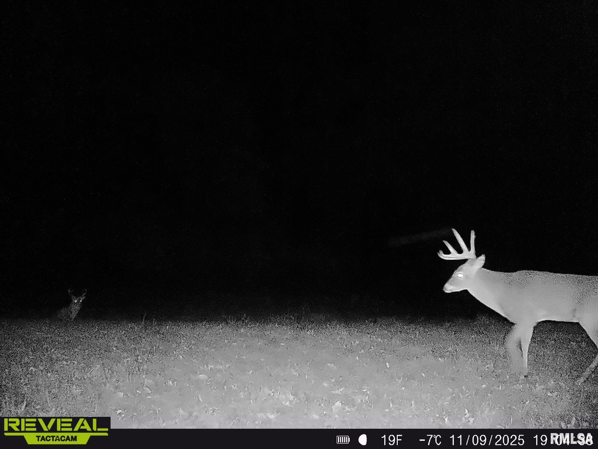 896 Northeast 1300 Street Roodhouse, IL 62082 - Photo 78 of 89