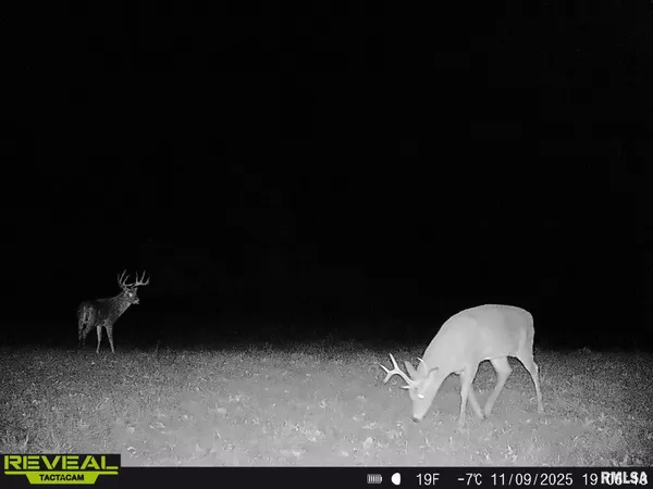 $635,000 | 896 Northeast 1300 Street, Roodhouse, IL 62082