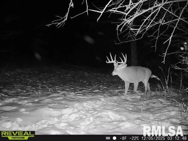 $635,000 | 896 Northeast 1300 Street, Roodhouse, IL 62082