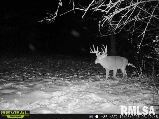 896 Northeast 1300 Street Roodhouse, IL 62082 - Photo 80 of 89