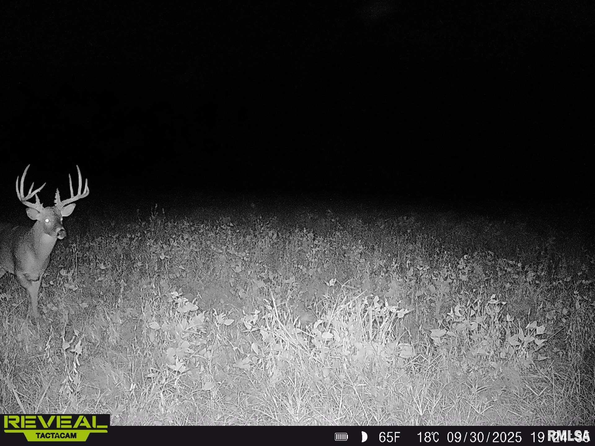 896 Northeast 1300 Street Roodhouse, IL 62082 - Photo 81 of 89