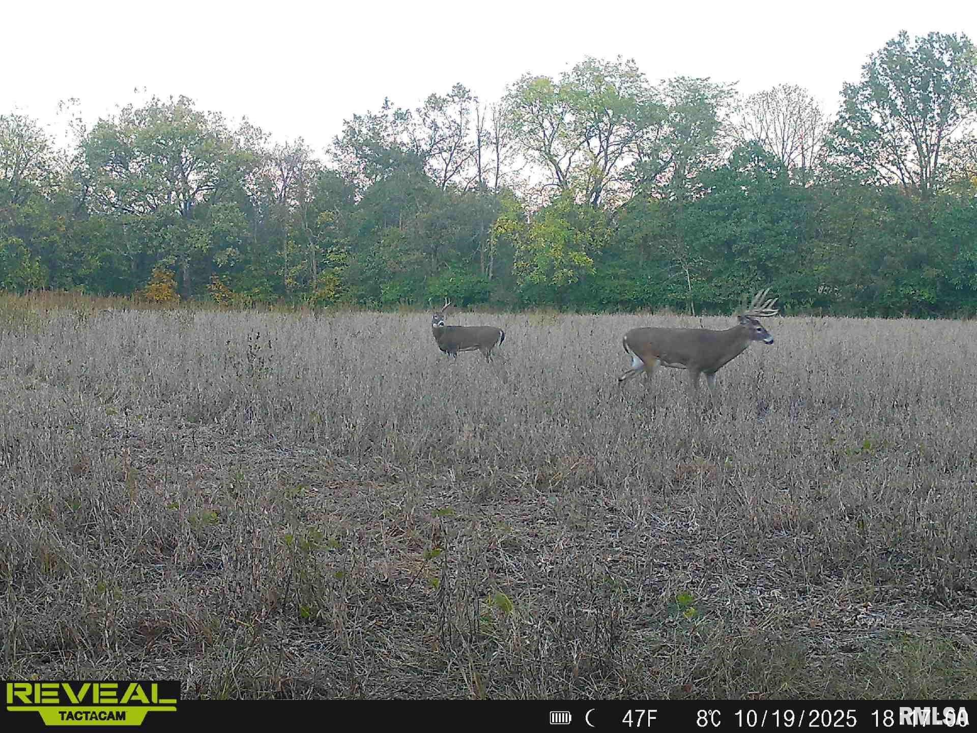 896 Northeast 1300 Street Roodhouse, IL 62082 - Photo 82 of 89