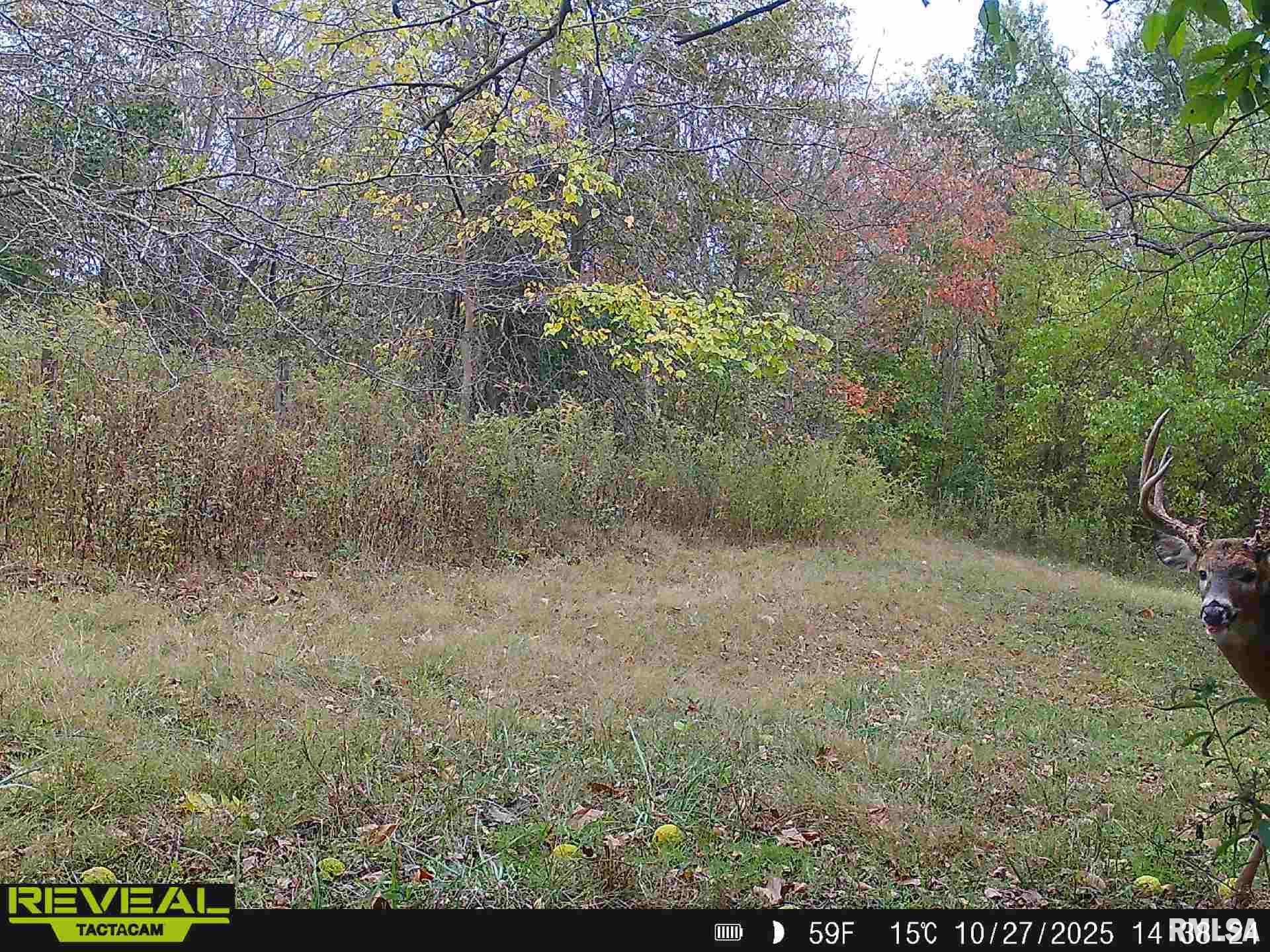 896 Northeast 1300 Street Roodhouse, IL 62082 - Photo 83 of 89